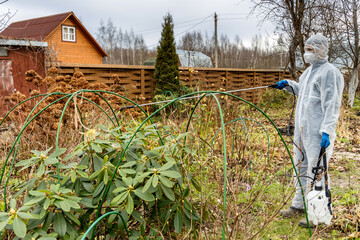 Using chemicals in the garden orchard gardener applying an insecticide a fertilizer to his fruit...