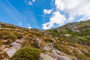Wandern in den Bergen von Korsika