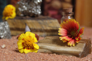 Yellow Flower on Petrified Wood and Crystals on Australian Red Sand