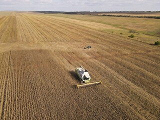 summer harwesting corn farm field ukraine 2022