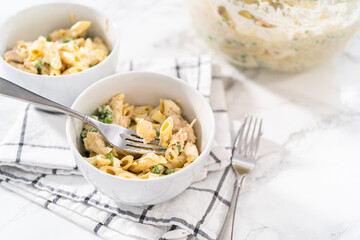 Macaroni Salad with Chicken