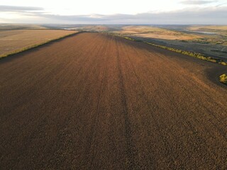 Fototapeta na wymiar summer harwesting corn farm field ukraine 2022
