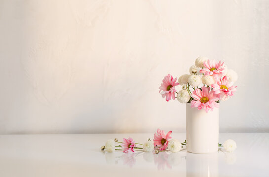 white and pink  chrysanthemums in vase on white background