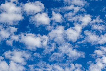 Obraz premium Clouds shaped like white fluffballs in a blue sky