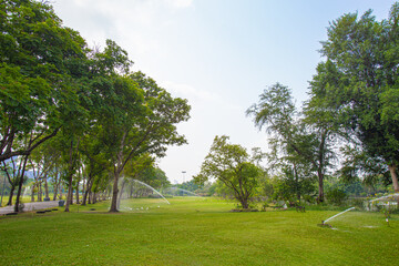A large lawn surrounded by mature trees provides shade in the park