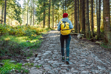 Caucasian young beautiful female backpacker traveling alone in forest wild. Attractive girl traveler look around and explore while walk in nature wood with happiness and fun during holiday vacation