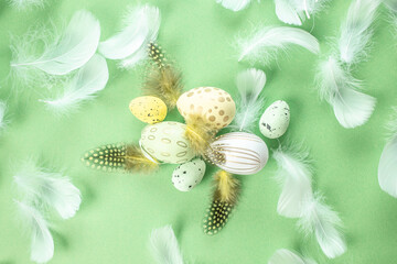 easter decorations feathers easter eggs on pastel green background