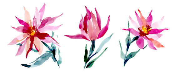 Fototapeta na wymiar A set of pink flowers on a white background. Watercolor abstract set of rosebuds. Lily flowers for design, invitations, postcards. Summer, spring botanical set of illustrations