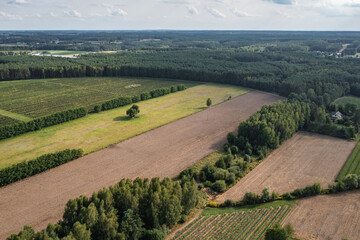 Fototapeta na wymiar Drone photo of fields and vineyards in Dworzno, Zyrardow County in Poland