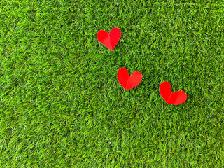 Red heart symbol made of paper on a green grassy background