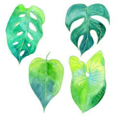 Set of hand-painted watercolor leaves