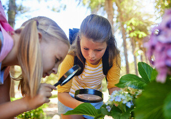 Learning, magnifying glass and girls with leaf outdoor for looking at plants together. Education,...