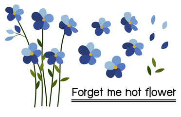 forget me not on white background.Eps 10 vector.
