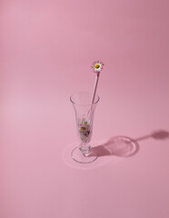 Cocktail glass with daisy flowers. Minimal composition. Abstract art idea.