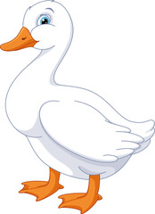 Domestic Duck Cartoon Illustration