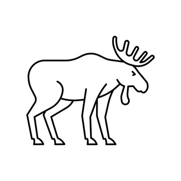 Moose icon. High quality black vector illustration.