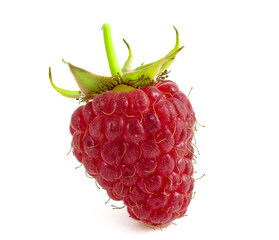 Raspberries isolated on white background. Berry with peduncle close up.