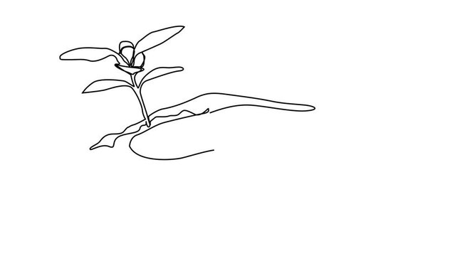 continuous line drawing return to nature with hands holding trees concept of growing and loving the world