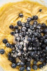 Lemon blueberry bundt cake with powdered sugar dusting