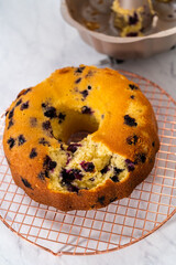 Lemon blueberry bundt cake with powdered sugar dusting
