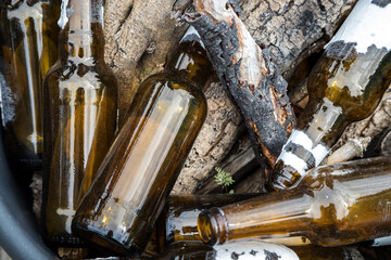 Detail of empty beer bottles left at random in the environment. Pollution of the environment....