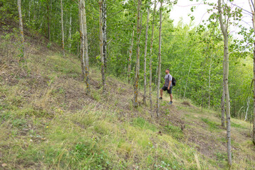 A man climbs a hill with young trees