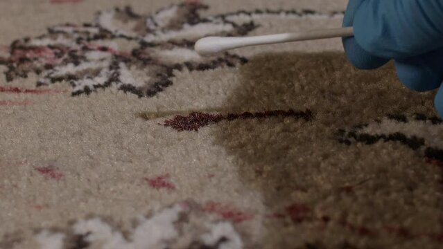 Close-up shot of forensic office gathering blood samples off the carpet