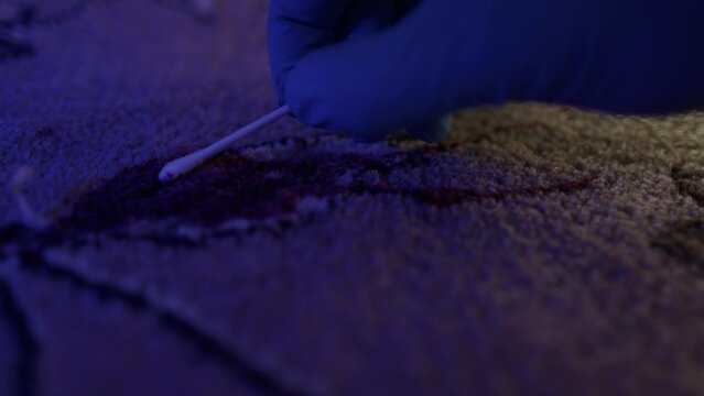 Close up of Forensic Officer swabbing up blood