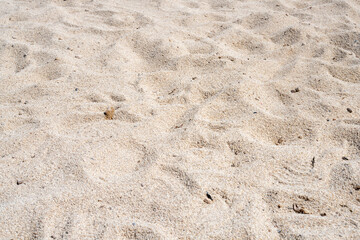 Fine sand texture and background