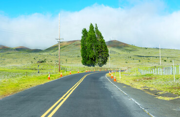 Fototapeta na wymiar Road Through Green Hills Near Mauna Kea