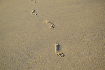 Fototapeta na wymiar Footprints left behind in wet sand on a beach