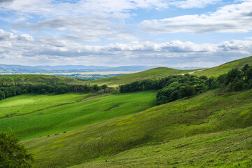 Fototapeta na wymiar Idyllic hilly pasture landscape under dramatic skies
