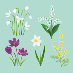 Spring flower set. Snowdrops, lily of the valley, crocus, narcissus and acacia flower on blue background