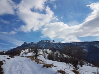 Der Babin zub ist ein Gipfel im Balkangebirge, in Südostserbien. Seine Höhe beträgt 1780 m,...