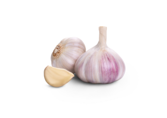 A whole fresh garlic head and clove segment isolated against a transparent background.