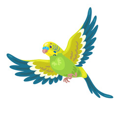 One small green budgerigar flies. In cartoon style. Isolated on white background. Vector flat illustration