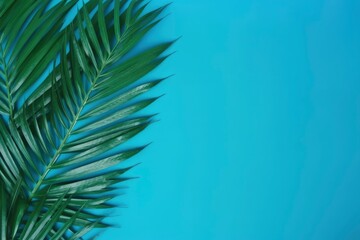 Top view of palm leaves on a blue paper flat lay background. Copy space text area created with Generative AI