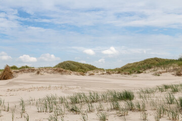 Dune landscape in St. Peter-Ording, North Friesland, Schleswig-Holstein, Germany, Europe