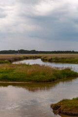 Fototapeta na wymiar Salt meadow in St. Peter-Ording, North Friesland, Schleswig-Holstein, Germany, Europe