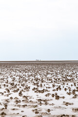 low tide on the beach  in St. Peter-Ording, North Friesland, Schleswig-Holstein, Germany, Europe