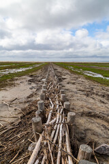 salt meadow in St. Peter-Ording, North Friesland, Schleswig-Holstein, Germany, Europe