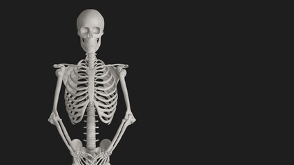 skeleton posing 3d render illustration with black background - obrazy, fototapety, plakaty