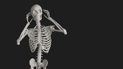 skeleton posing 3d render illustration with black background