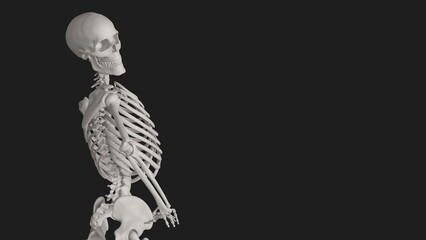 skeleton posing 3d render illustration with black background