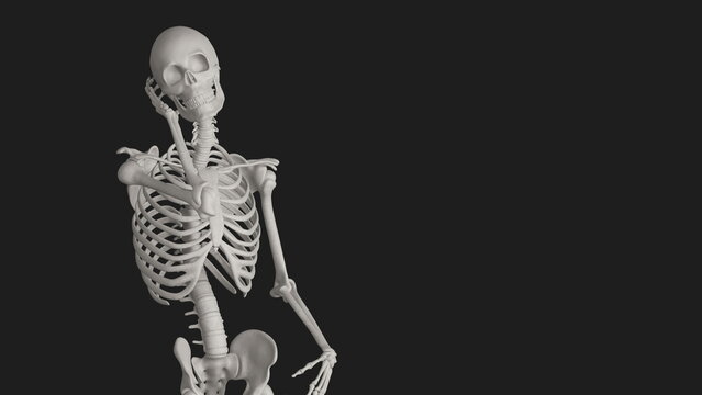 skeleton posing 3d render illustration with black background