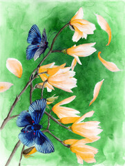  Watercolor picture of a branch with yellow magnolia flowers and dark blue butterflies 