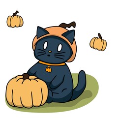 black cat illustration with pumpkin costume 