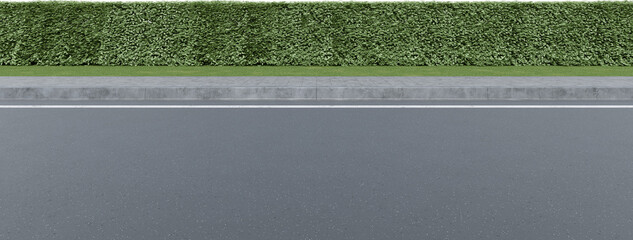 Fototapeta premium Realistic road side and hedge. 3d rendering of isolated objects.