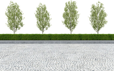 Realistic road side with hedge and tree. 3d rendering of isolated objects.