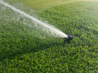 Automatic sprinkler system for watering lawn on background of green grass closeup